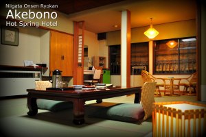 Standard Room at the Akebono Hot Spring Onsen Hotel